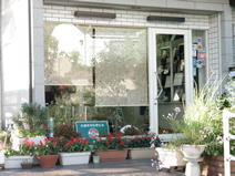 はりまやパール